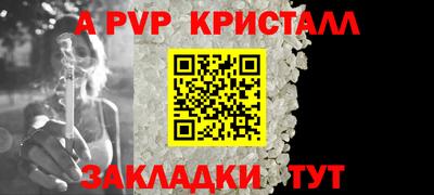 шишки Камышлов