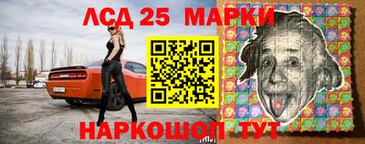 шишки Камышлов