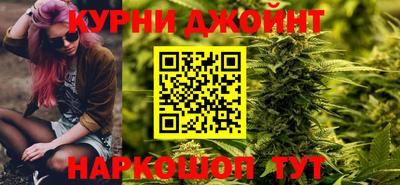 шишки Камышлов