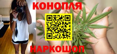 шишки Камышлов