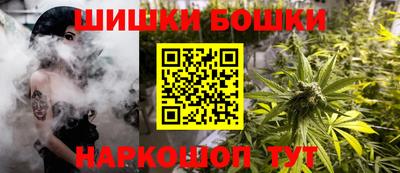 шишки Камышлов