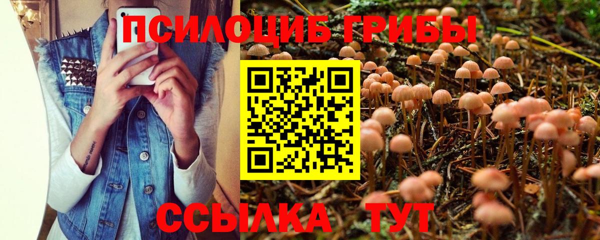 Галлюциногенные грибы MAGIC MUSHROOMS  Вход с VPN  Глазов  Галлюциногенные грибы Cubensis 