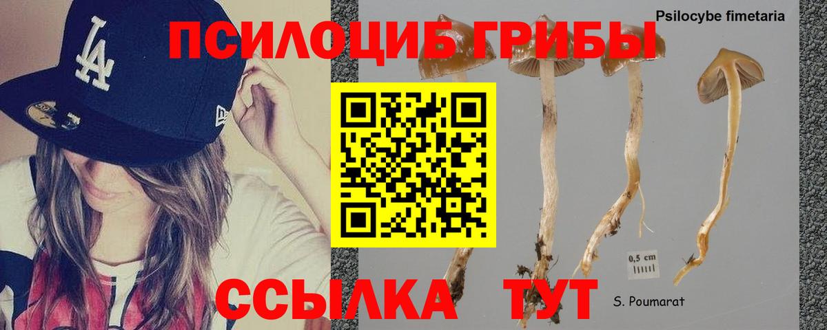 ГАШ Глазов